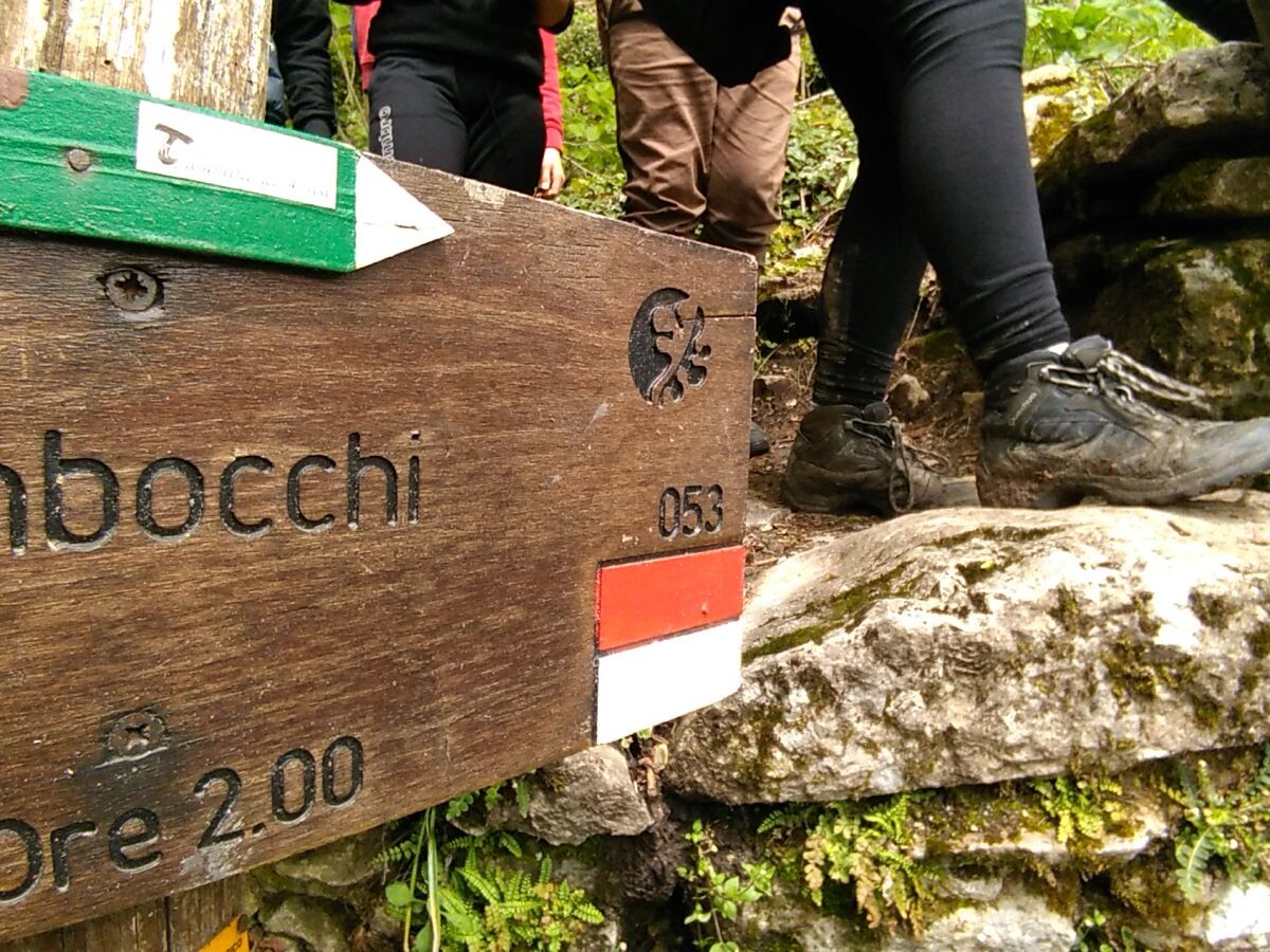 FORESTE SACRE Tra La Verna, Camaldoli e Monte Penna